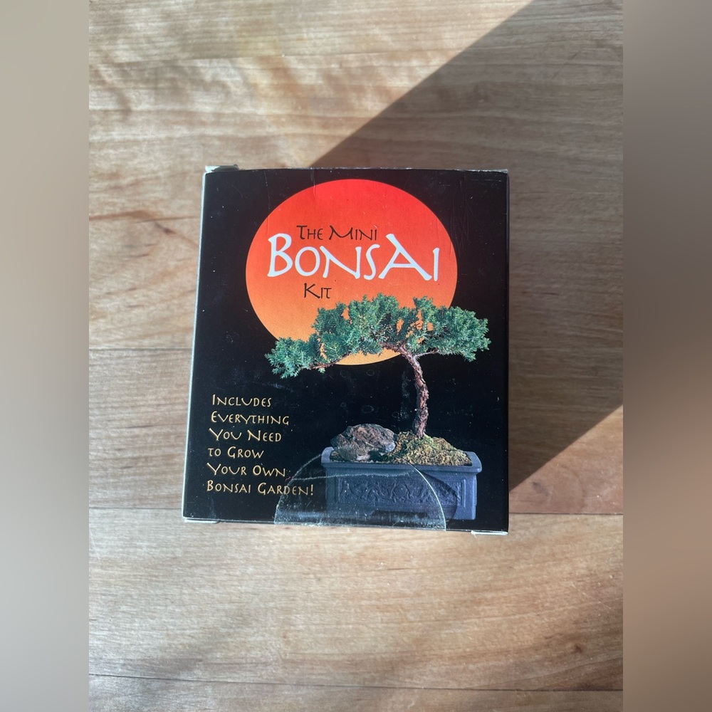 The Mini Bonsai Kit - Black and Green